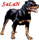 Rotweiler